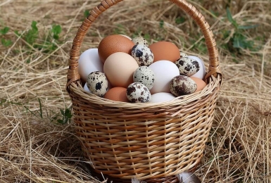  Ăn trứng có thực sự tốt cho sức khỏe